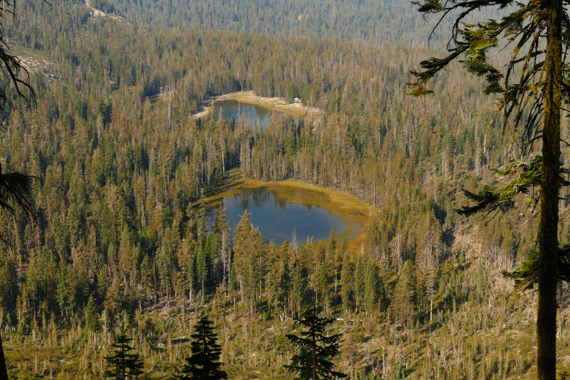 Seven Lakes Basin [Shasta Trinity National Forest]