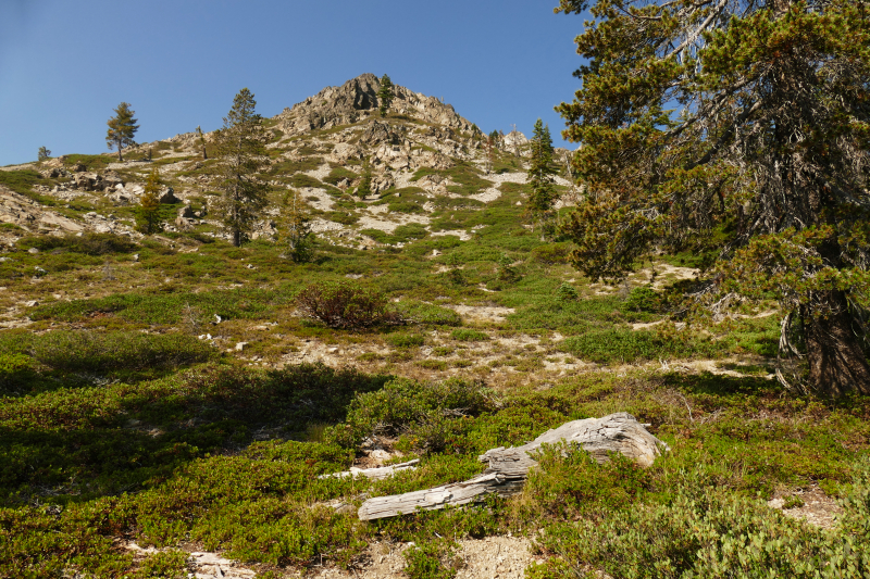 Seven Lakes Basin [Shasta Trinity National Forest]