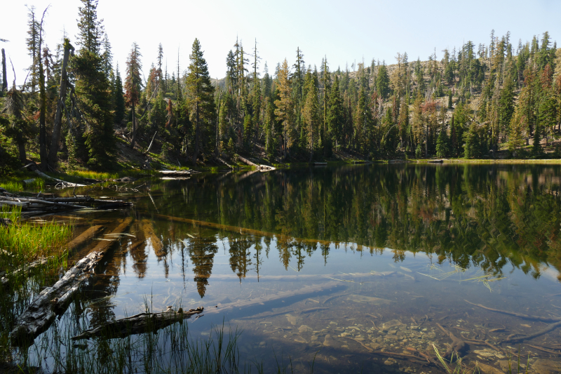 Seven Lakes Basin [Shasta Trinity National Forest]