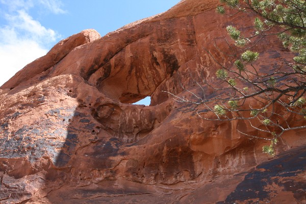 Shadow Box Arch