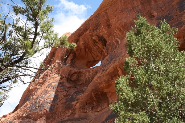 Shadow Box Arch