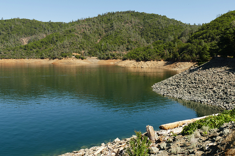 Bild Shasta Dam [Shasta Trinity National Forest]