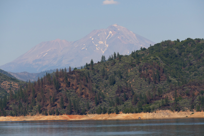 Shasta Dam [Shasta Trinity National Forest]