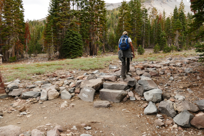 Bild Olberman's Causeway Mount Shasta