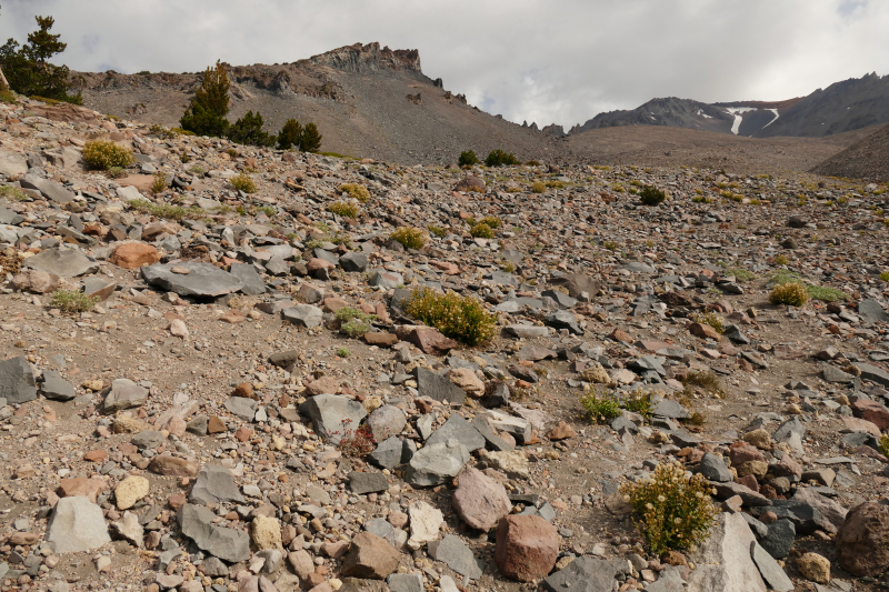 Mount Shasta - Helen Lake via Avalanche Gulch