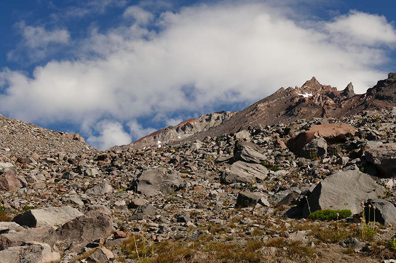 Mount Shasta - Old Ski Bowl Trail