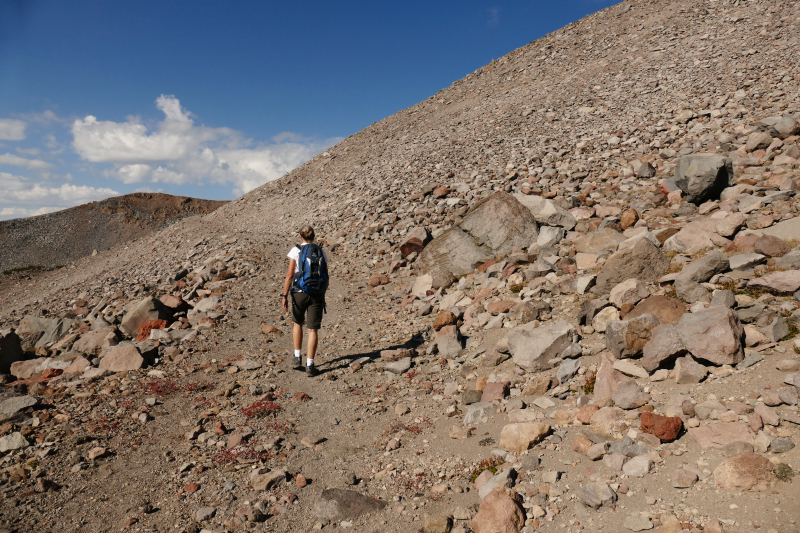 Mount Shasta - Old Ski Bowl Trail