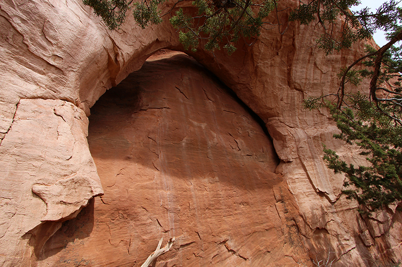 Shield Arch Glade Park