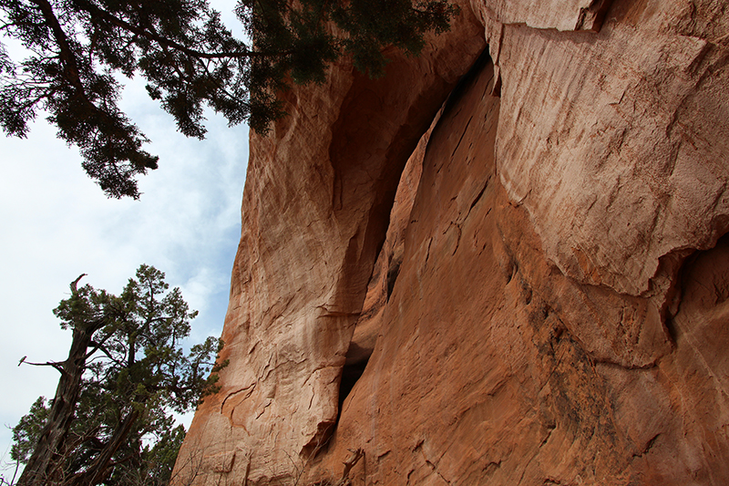 Shield Arch Glade Park