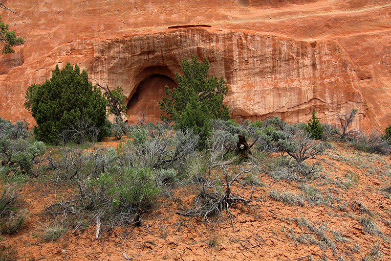 Shield Arch Glade Park