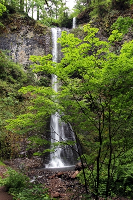 Trail of Ten Falls [Silver Falls State Park]