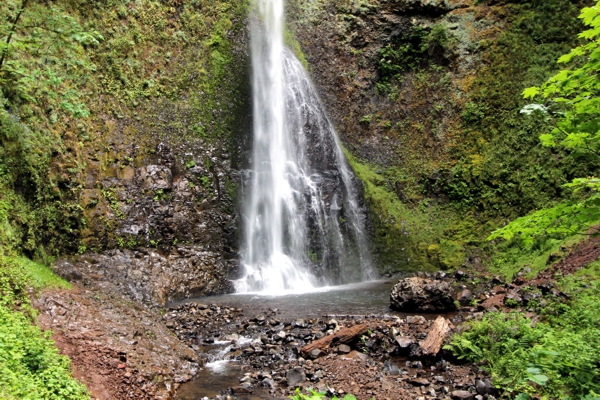 USA Hiking Database: Trail of Ten Falls [Oregon Silver Falls State Park]