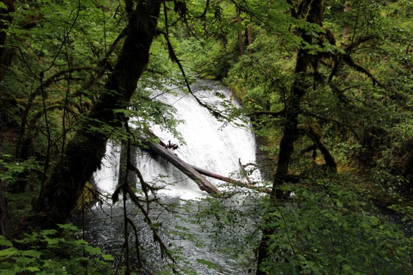 Trail of Ten Falls [Silver Falls State Park]