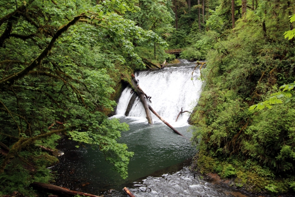 Trail of Ten Falls [Silver Falls State Park]