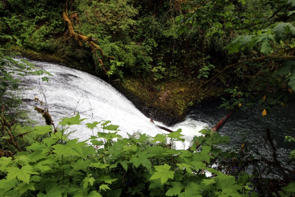 Trail of Ten Falls [Silver Falls State Park]