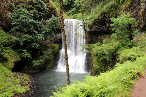 USA Hiking Database: Trail of Ten Falls [Oregon Silver Falls State Park]