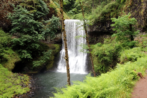 Trail of Ten Falls [Silver Falls State Park]