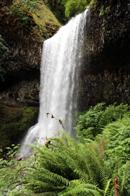 Trail of Ten Falls [Silver Falls State Park]