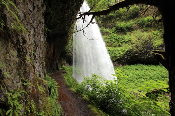 USA Hiking Database: Trail of Ten Falls [Oregon Silver Falls State Park]