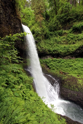 Trail of Ten Falls [Silver Falls State Park]