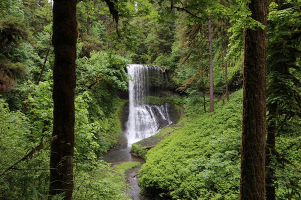 Trail of Ten Falls [Silver Falls State Park]