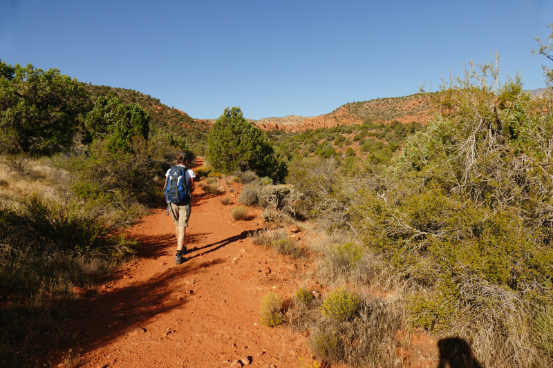 Silver Rim Trail [Red Reef - Dixie National Forest]