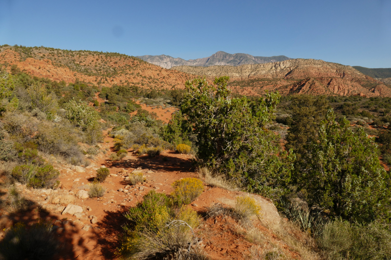 Silver Rim Trail [Red Reef - Dixie National Forest]