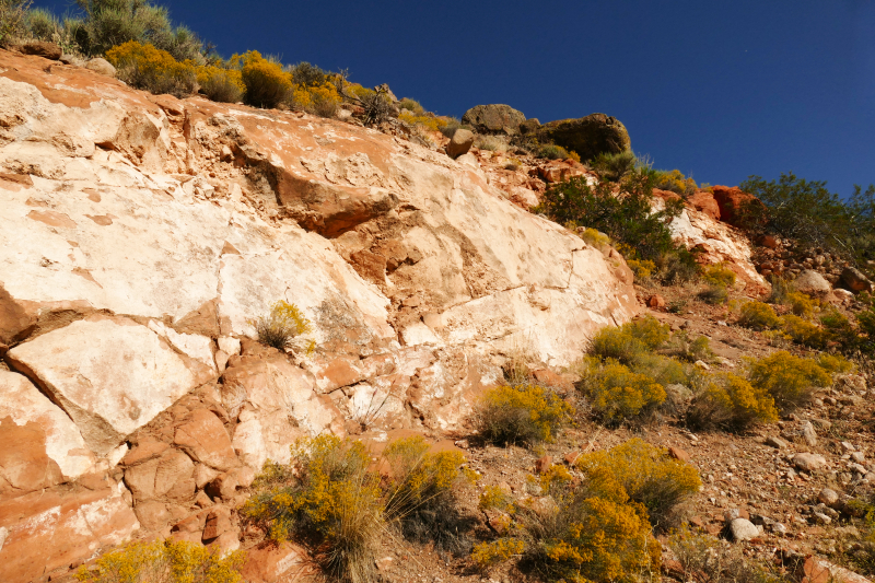 Silver Rim Trail [Red Reef - Dixie National Forest]