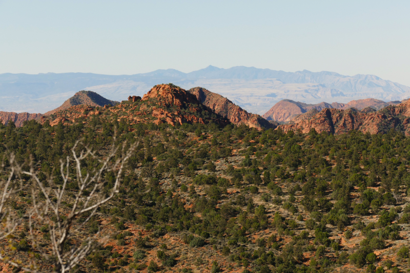 Silver Rim Trail [Red Reef - Dixie National Forest]