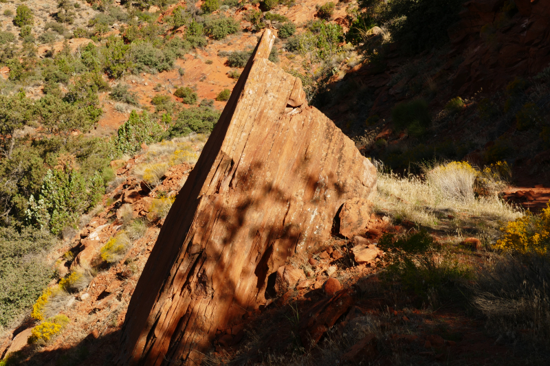 Silver Rim Trail [Red Reef - Dixie National Forest]