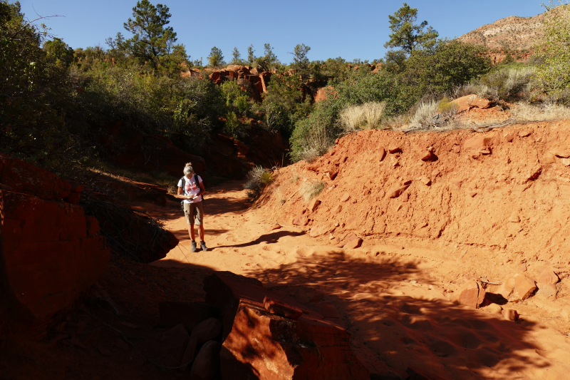 Silver Rim Trail [Red Reef - Dixie National Forest]