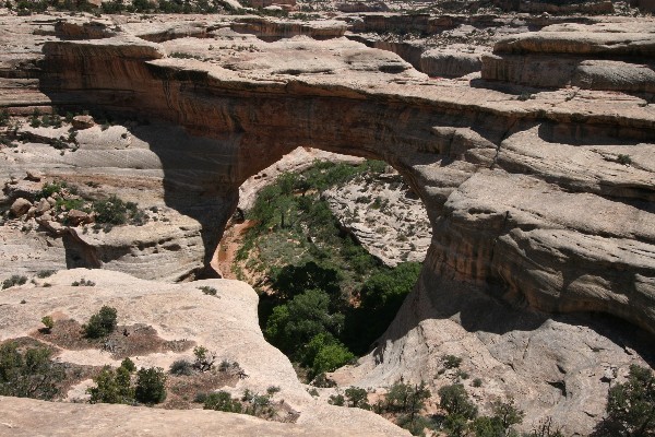 Sipapu Natural Bridge