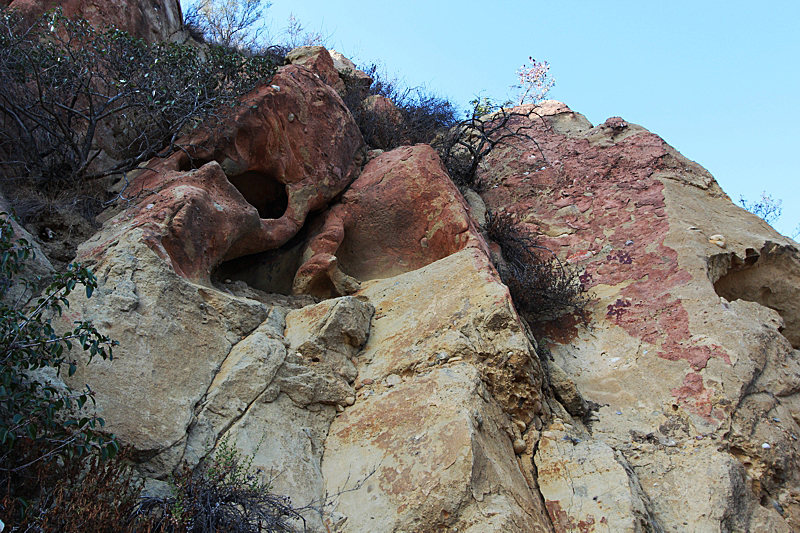 Eagle Rock Skull Arch