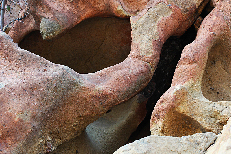 Eagle Rock Skull Arch