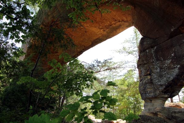 Sky Bridge [Red River Gorge]