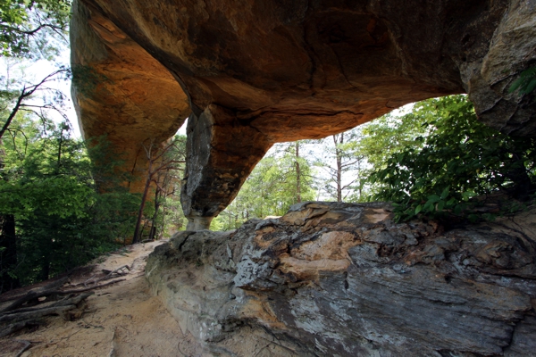 Sky Bridge [Red River Gorge]