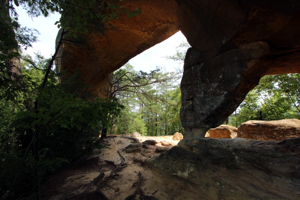 Sky Bridge [Red River Gorge]