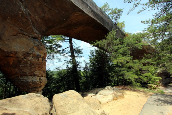 Sky Bridge [Red River Gorge]