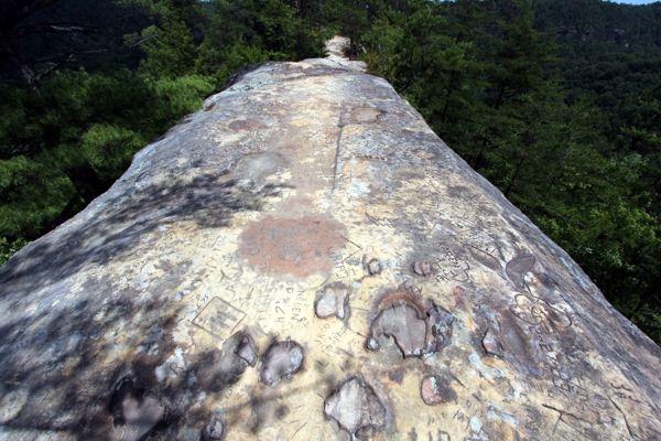 Sky Bridge [Red River Gorge]