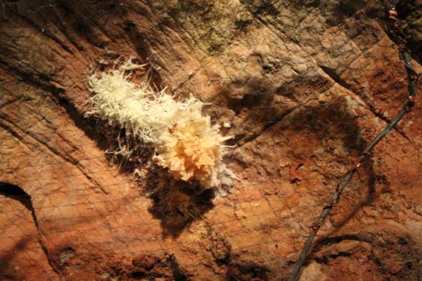 Skyline Caverns [Shenandoah National Park]