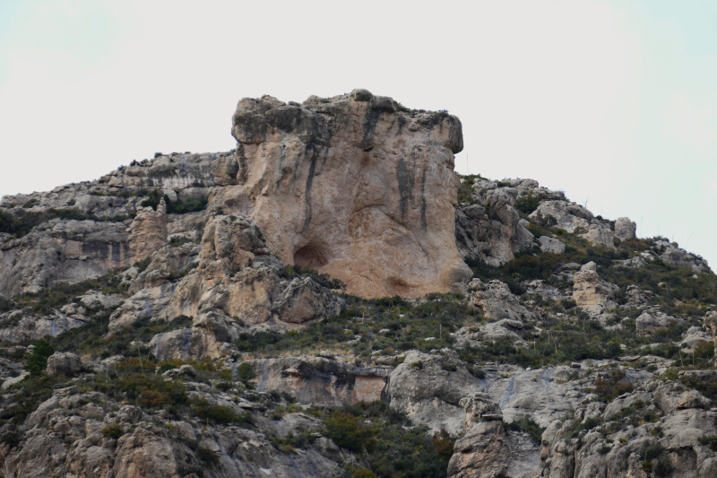 Smith Spring und Manzanita Spring - Frijole Ranch [Guadalupe Mountains National Park]