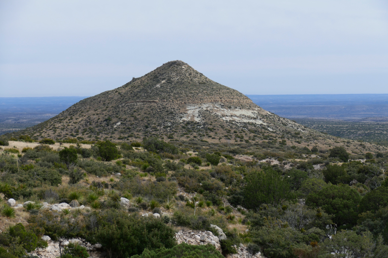 Smith Spring und Manzanita Spring - Frijole Ranch [Guadalupe Mountains National Park]