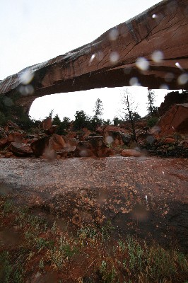 Snake Bridge