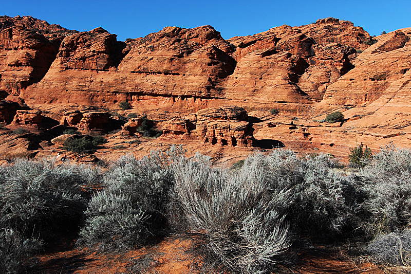 Snow Canyon