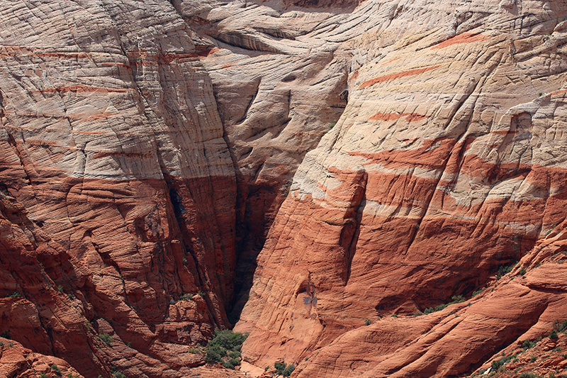 Snow Canyon