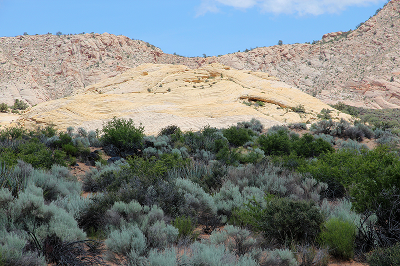 Snow Canyon