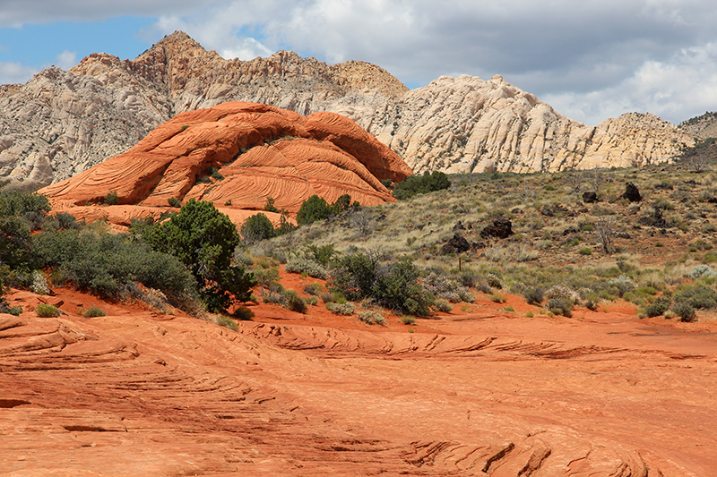 Snow Canyon