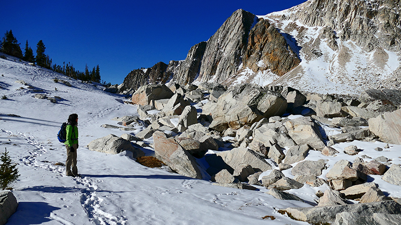 Medicine Bow Mountains Snowy Range Wyoming