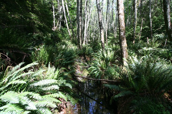 East Sooke Regional Park [Vancouver Island]