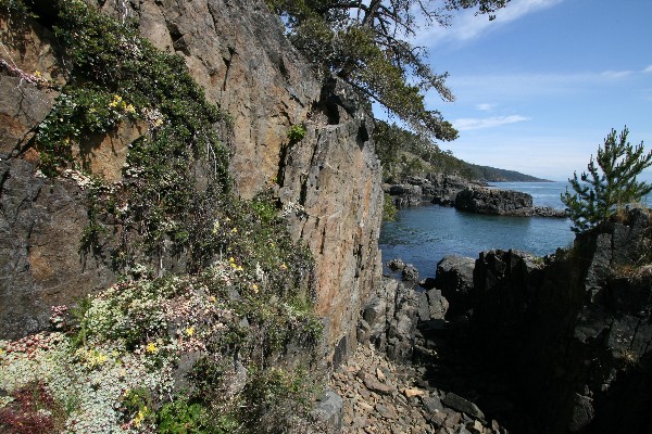 East Sooke Regional Park [Vancouver Island]